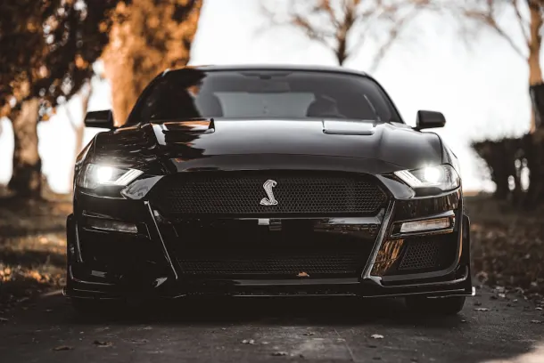 Luckland Casino Application Android/iOS